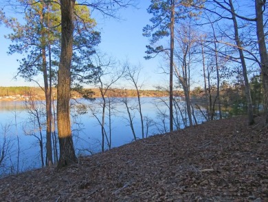 If you are ALL ABOUT THE VIEW, this 1-acre lake lot offers an on The Links At Stoney Point in South Carolina - for sale on GolfHomes.com, golf home, golf lot