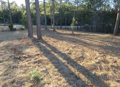 If you are ALL ABOUT THE VIEW, this 1-acre lake lot offers an on The Links At Stoney Point in South Carolina - for sale on GolfHomes.com, golf home, golf lot