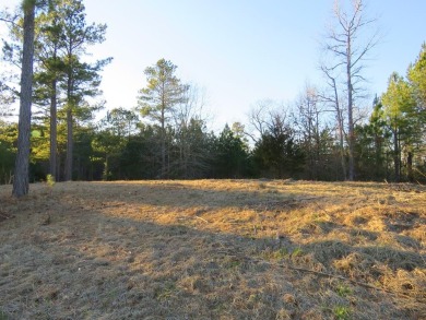 If you are ALL ABOUT THE VIEW, this 1-acre lake lot offers an on The Links At Stoney Point in South Carolina - for sale on GolfHomes.com, golf home, golf lot