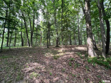 Gorgeous waterfront lot located in Oak Terrace Resort. Potential on Oak Terrace Resort in Illinois - for sale on GolfHomes.com, golf home, golf lot