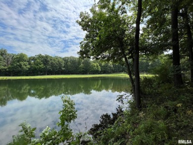Gorgeous waterfront lot located in Oak Terrace Resort. Potential on Oak Terrace Resort in Illinois - for sale on GolfHomes.com, golf home, golf lot
