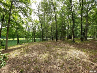 Gorgeous waterfront lot located in Oak Terrace Resort. Potential on Oak Terrace Resort in Illinois - for sale on GolfHomes.com, golf home, golf lot