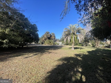 Build your dream home in the highly sought-after gated community on The Club At Osprey Cove in Georgia - for sale on GolfHomes.com, golf home, golf lot