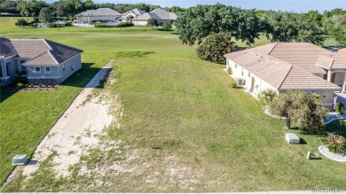 Beautiful golf course view homesite ready for your dream home on Skyview At Terra Vista Golf and Country Club in Florida - for sale on GolfHomes.com, golf home, golf lot