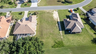 Beautiful golf course view homesite ready for your dream home on Skyview At Terra Vista Golf and Country Club in Florida - for sale on GolfHomes.com, golf home, golf lot