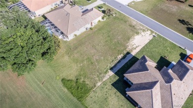 Beautiful golf course view homesite ready for your dream home on Skyview At Terra Vista Golf and Country Club in Florida - for sale on GolfHomes.com, golf home, golf lot
