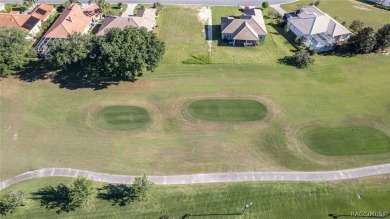 Beautiful golf course view homesite ready for your dream home on Skyview At Terra Vista Golf and Country Club in Florida - for sale on GolfHomes.com, golf home, golf lot
