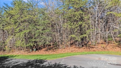 Don't miss this opportunity to build your dream home on this on Old North State Club at Uwharrie Point Golf community in North Carolina - for sale on GolfHomes.com, golf home, golf lot