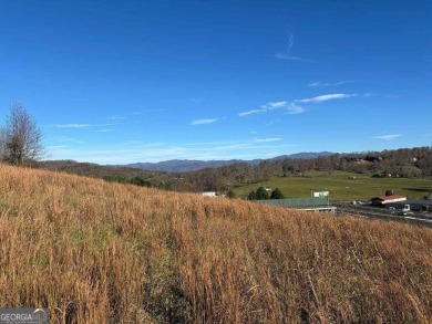 Conveniently located between Hayesville, NC, and Hiawassee, GA on Chatuge Shores Golf Course in North Carolina - for sale on GolfHomes.com, golf home, golf lot