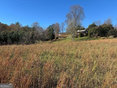 Conveniently located between Hayesville, NC, and Hiawassee, GA on Chatuge Shores Golf Course in North Carolina - for sale on GolfHomes.com, golf home, golf lot