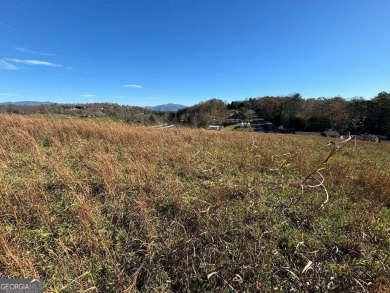 Conveniently located between Hayesville, NC, and Hiawassee, GA on Chatuge Shores Golf Course in North Carolina - for sale on GolfHomes.com, golf home, golf lot