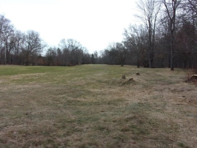 Great building potential on this nicely wooded lot. Located on on Fox Run Country Club in Michigan - for sale on GolfHomes.com, golf home, golf lot