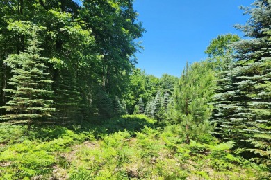 Very nice and large 3.5-acre parcel for your dream home in the for sale on GolfHomes.com