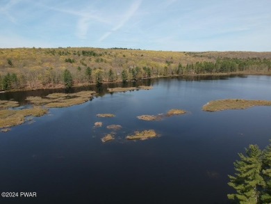 One and half acre, buildable lot. Build your home facing Hawks on Woodloch Springs Country Club in Pennsylvania - for sale on GolfHomes.com, golf home, golf lot