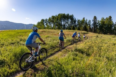Embrace the rare opportunity to own a .98-acre estate homesite on Osprey Meadows at Tamarack Resort in Idaho - for sale on GolfHomes.com, golf home, golf lot