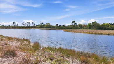 SEE IT FOR YOURSELF! SPECTACULAR SUNSET VIEWS!  SPECTACULAR on Sarasota National Golf Club in Florida - for sale on GolfHomes.com, golf home, golf lot