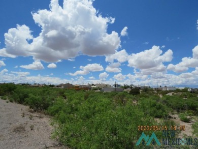 100x225 Lot In Elephant Butte. Just Minutes From Marina Del Sur on Sierra Del Rio Golf Club in New Mexico - for sale on GolfHomes.com, golf home, golf lot