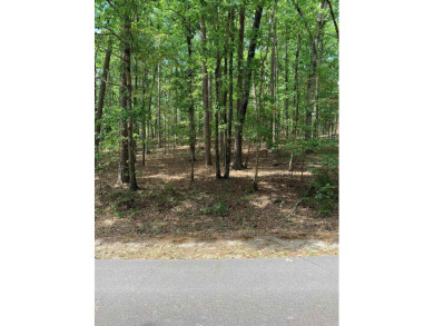 Nice buildable lot on Lake Coronado! Only 4 minutes away from on Coronado Golf Course in Arkansas - for sale on GolfHomes.com, golf home, golf lot