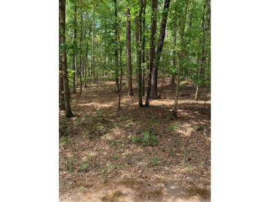 Nice buildable lot on Lake Coronado! Only 4 minutes away from on Coronado Golf Course in Arkansas - for sale on GolfHomes.com, golf home, golf lot