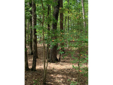 Nice buildable lot on Lake Coronado! Only 4 minutes away from on Coronado Golf Course in Arkansas - for sale on GolfHomes.com, golf home, golf lot