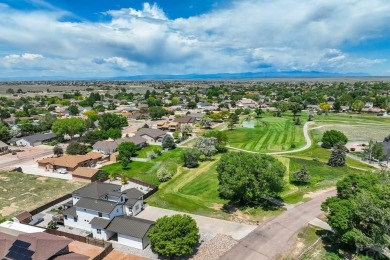 Welcome to 489 S Pin High Dr, a one-of-a-kind custom home on Desert Hawk At Pueblo West in Colorado - for sale on GolfHomes.com, golf home, golf lot