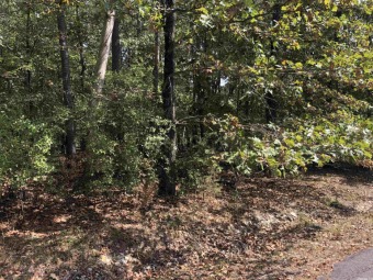 Build your dream home in Hot Springs Village, Diamante Private on Diamante Golf and Country Club in Arkansas - for sale on GolfHomes.com, golf home, golf lot
