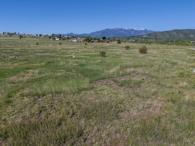 This Lot is perfect for those who are wanting to build their on Hollydot Golf Course in Colorado - for sale on GolfHomes.com, golf home, golf lot