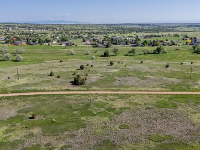 This Lot is perfect for those who are wanting to build their on Hollydot Golf Course in Colorado - for sale on GolfHomes.com, golf home, golf lot