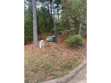 Build your dream home in Hot Springs Village, Diamante Private on Diamante Golf and Country Club in Arkansas - for sale on GolfHomes.com, golf home, golf lot