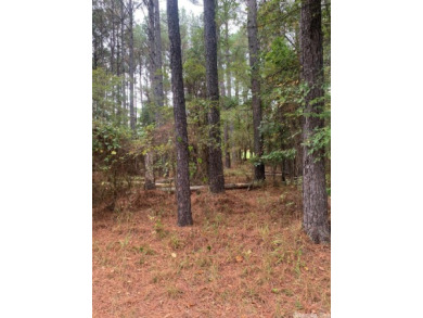 Build your dream home in Hot Springs Village, Diamante Private on Diamante Golf and Country Club in Arkansas - for sale on GolfHomes.com, golf home, golf lot