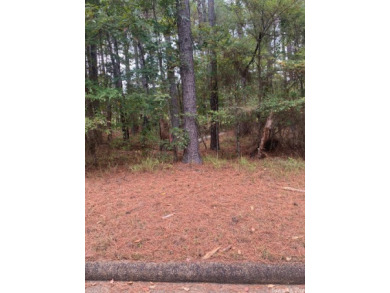 Build your dream home in Hot Springs Village, Diamante Private on Diamante Golf and Country Club in Arkansas - for sale on GolfHomes.com, golf home, golf lot