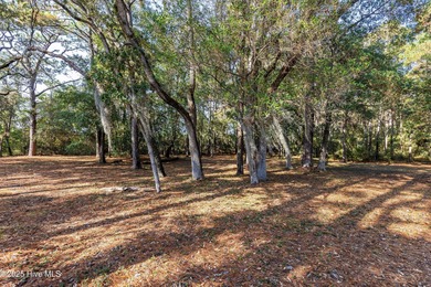 PREMIER WATER-VIEW HOMESITE in Barnes Bluff -- At nearly an acre on South Harbour Golf Links in North Carolina - for sale on GolfHomes.com, golf home, golf lot