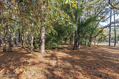 PREMIER WATER-VIEW HOMESITE in Barnes Bluff -- At nearly an acre on South Harbour Golf Links in North Carolina - for sale on GolfHomes.com, golf home, golf lot