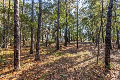 PREMIER WATER-VIEW HOMESITE in Barnes Bluff -- At nearly an acre on South Harbour Golf Links in North Carolina - for sale on GolfHomes.com, golf home, golf lot