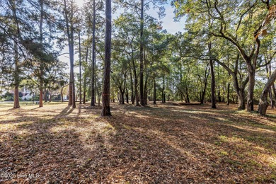 PREMIER WATER-VIEW HOMESITE in Barnes Bluff -- At nearly an acre on South Harbour Golf Links in North Carolina - for sale on GolfHomes.com, golf home, golf lot