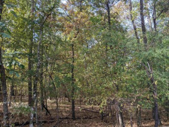 Beautiful lot across the street from the #3 ranked golf course on Diamante Golf and Country Club in Arkansas - for sale on GolfHomes.com, golf home, golf lot