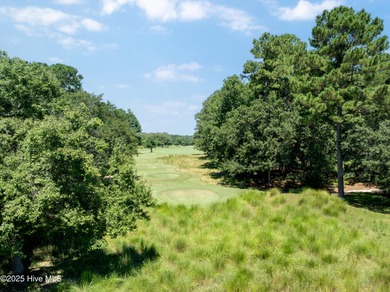 Discover one of River Landing's premier residential on River Landing Golf Course in North Carolina - for sale on GolfHomes.com, golf home, golf lot