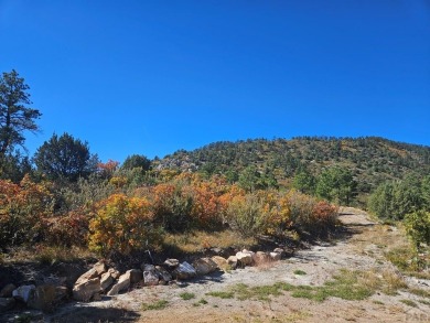160 Acres of God's country! Stellar views of the entire valley on Hollydot Golf Course in Colorado - for sale on GolfHomes.com, golf home, golf lot
