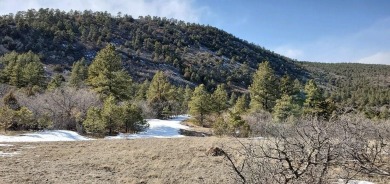 160 Acres of God's country! Stellar views of the entire valley on Hollydot Golf Course in Colorado - for sale on GolfHomes.com, golf home, golf lot