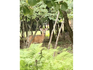 This beautiful, buildable lot in desirable Split Rock Resort is on Split Rock Resort and Country Club in Pennsylvania - for sale on GolfHomes.com, golf home, golf lot
