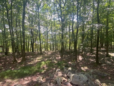 This beautiful, buildable lot in desirable Split Rock Resort is on Split Rock Resort and Country Club in Pennsylvania - for sale on GolfHomes.com, golf home, golf lot