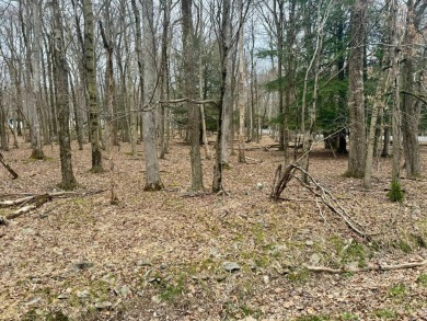 This beautiful, buildable lot in desirable Split Rock Resort is on Split Rock Resort and Country Club in Pennsylvania - for sale on GolfHomes.com, golf home, golf lot
