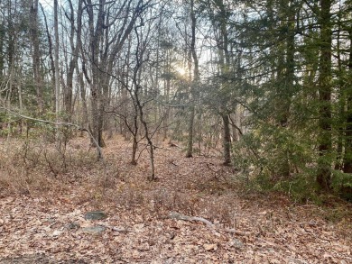 This beautiful, buildable lot in desirable Split Rock Resort is on Split Rock Resort and Country Club in Pennsylvania - for sale on GolfHomes.com, golf home, golf lot