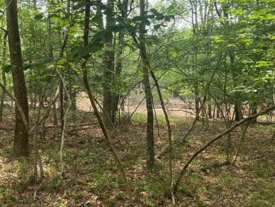 This beautiful, buildable lot in desirable Split Rock Resort is on Split Rock Resort and Country Club in Pennsylvania - for sale on GolfHomes.com, golf home, golf lot