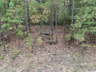 Beautiful home site in the private Diamante subdivision, country on Diamante Golf and Country Club in Arkansas - for sale on GolfHomes.com, golf home, golf lot