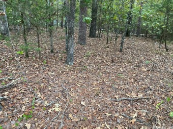 Beautiful home site in the private Diamante subdivision, country on Diamante Golf and Country Club in Arkansas - for sale on GolfHomes.com, golf home, golf lot