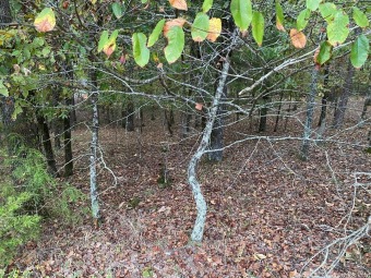 Beautiful home site in the private Diamante subdivision, country on Diamante Golf and Country Club in Arkansas - for sale on GolfHomes.com, golf home, golf lot
