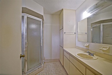 Priced Below Market--Investor or Handyman Special! This split on The Links of Spruce Creek in Florida - for sale on GolfHomes.com, golf home, golf lot