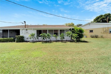 Sunshine is calling your name! It is time to enjoy REAL Florida on Kings Point Executive Golf Course in Florida - for sale on GolfHomes.com, golf home, golf lot