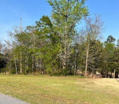 Located in the gated golf community of Stoney Point on the on The Links At Stoney Point in South Carolina - for sale on GolfHomes.com, golf home, golf lot